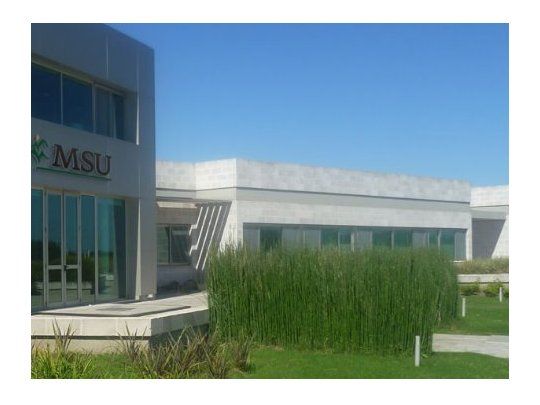 MSU.jpg