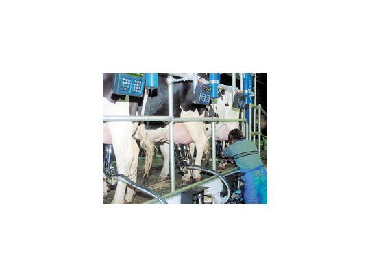 El contexto local es complicado sin avance aún para el precio de la leche en puerta de tambo, que oscila entre $ 0,70 y $ 0,81.