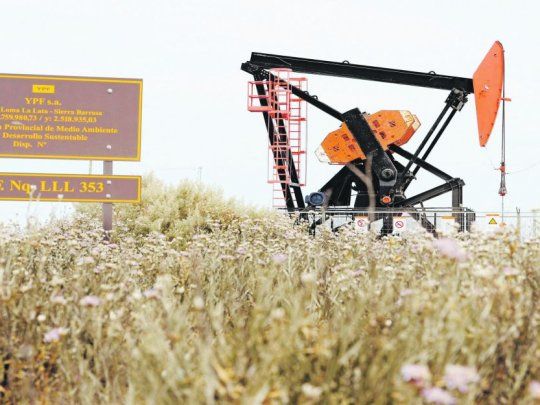 oasis. El yacimiento no convencional atrae a empresas de todo el país por su rápido crecimiento.