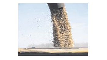 Para soja y subproductos, que abonan retenciones, se deberá efectivizar su pago dentro de los 5 días hábiles desde el registro de la DJVE, por al menos 90% de la cantidad (peso o volumen) declarada.