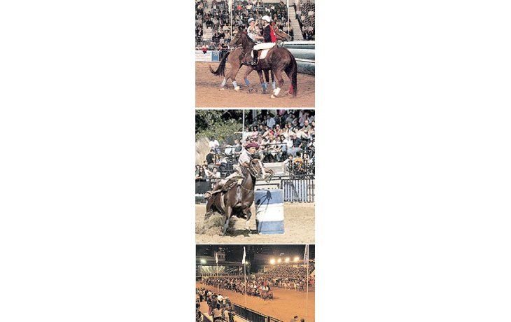 ámbito.com | El campeonato de Pato Horseball logró récord de asistentes a las tribunas de la pista central durante la muestra Nuestros Caballos (arriba). Actividades, competencias y recreación hicieron las delicias del público y atrajeron a quienes generalmente no e