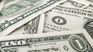 The low levels of the dollar in Uruguay continue to be a big problem for exporters. The low levels of the dollar in Uruguay continue to be a big problem for exporters.