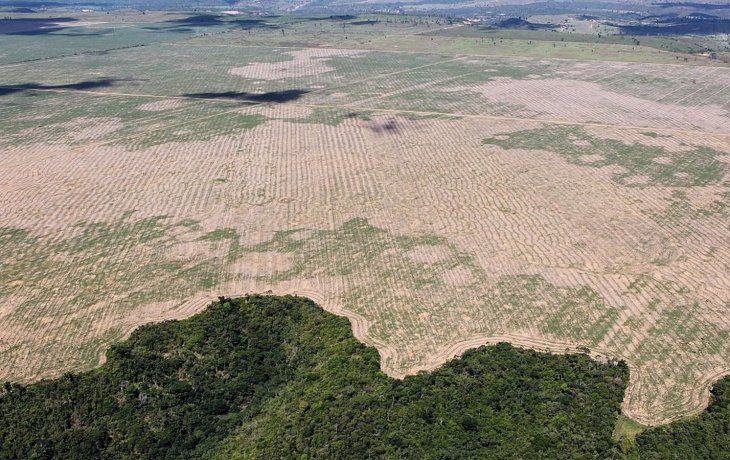 deforestacion en amazonas sube 56% durante gobierno de bolsonaro