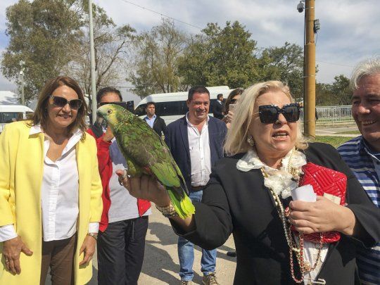 Elisa Carrió grabó un mensaje que subió a su  cuenta de youtube y que difundió a través de sus redes sociales.