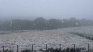 The snow hit different cities in southern Brazil. The snow hit different cities in southern Brazil.
