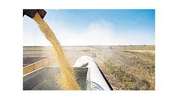 Cotización de los granos en el mercado internacional