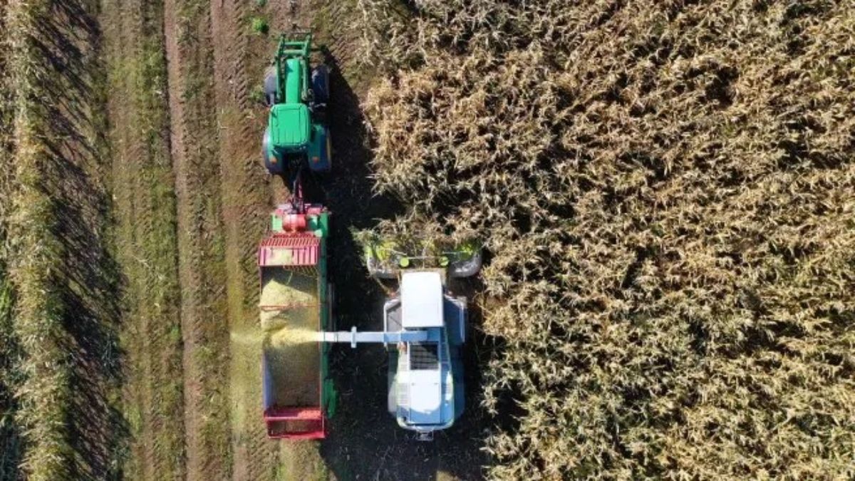 Donald Trump drives soybean production in the US and puts pressure on Argentine exports
