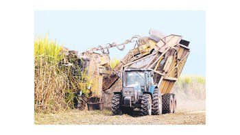 La producción de azúcar de la zafra principal del centro sur brasileño cayó a 67.500 toneladas durante la segunda mitad de diciembre, una baja del 81% ante las 357.100 toneladas producidas en la misma quincena de 2009.