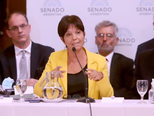 Mercedes Marcó del Pont Titular AFIP FMI Senado