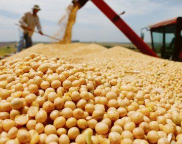 La producción de soja de la actual campaña cerró con un volumen de 43,3 millones de toneladas.