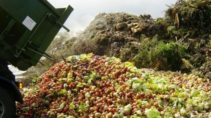 Cada año se desperdician 931 millones de toneladas de alimentos.