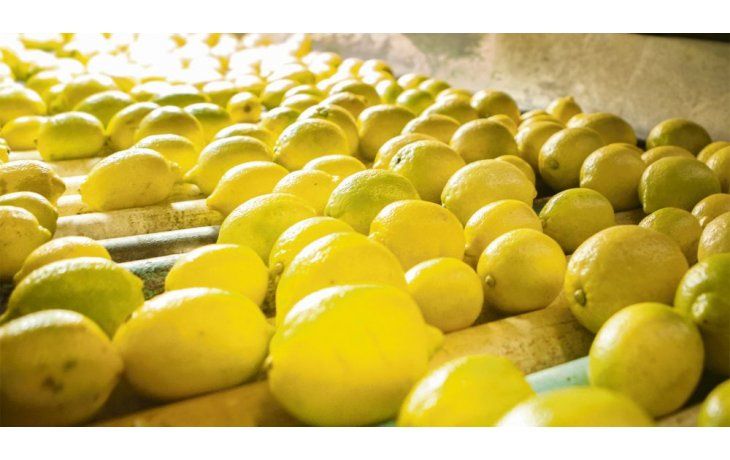 ámbito.com | Mercado. Se podrían enviar 200.000 toneladas por u$s50 millones.