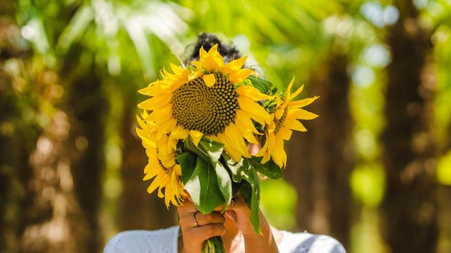 La primavera 2026 arranca oficialmente este martes por la noche en la Argentina. Los detalles del equinoccio de septiembre y sus razones científicas.