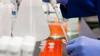 El suero comenzará a probarse en 15 hospitales.