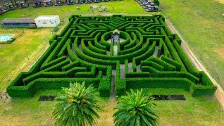 El laberinto de pinos es el mayor atractivo de Puesto Viejo. El laberinto de pinos es el mayor atractivo de Puesto Viejo.