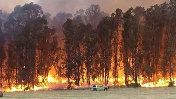 Tandil: incendio forestal de nivel extremo