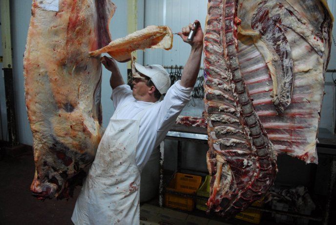 Detectan irregularidades en el mercado de la carne: subfacturación, evasión y empresas fantasma