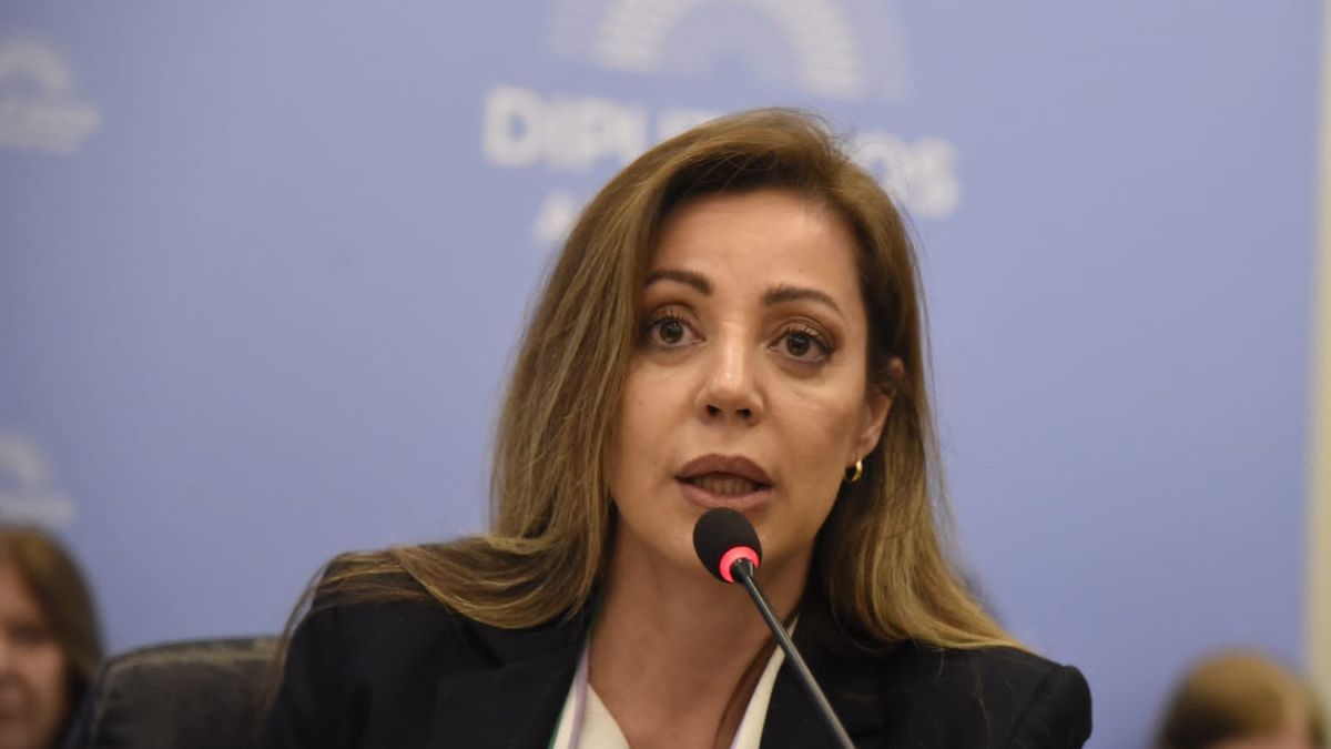 The Government threatens to terminate the Edesur contract due to supply cuts
