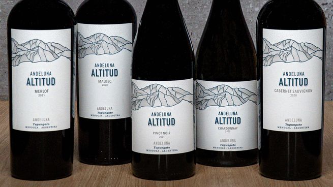 ANDELUNA ALTITUD PN 2021 1.jpg