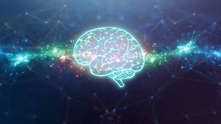 Los alimentos que empeoran la memoria, según Harvard.