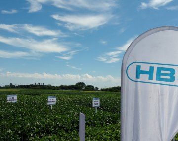 La tecnología HB4 es uno de las activos más valiosos que tiene el holding. La tecnología HB4 es uno de las activos más valiosos que tiene el holding.