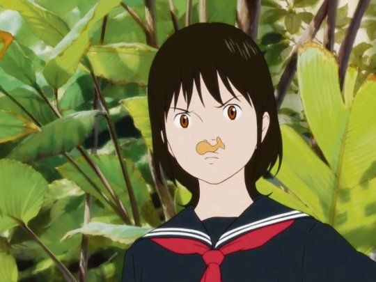 ellargometraje de mamoru hosoda fue candidato al oscar de este año