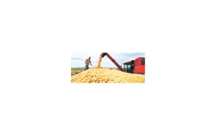 La situación es muy parecida al ciclo 2008/09 en la relación mercadería sin precio/producción, cuando el 53% de la cosecha de soja estaba sin valor, según la Bolsa de Comercio de Rosario.