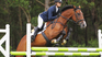 Uruguay can now export sports horses to China. Uruguay can now export sports horses to China.