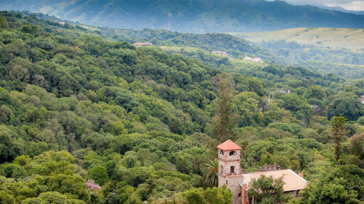 The beautiful little-known jungle of northern Argentina that hides stunning landscapes, waterfalls and turquoise water