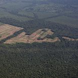 Estamos en camino de alcanzar la tasa de deforestación más baja de la historia en 2026, dijo Andre Lima, secretario especial de Brasil para el control de la deforestación. Estamos en camino de alcanzar la tasa de deforestación más baja de la historia en 2026, dijo Andre Lima, secretario especial de Brasil para el control de la deforestación.