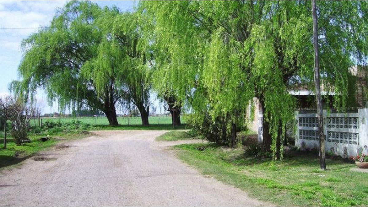 The rural paradise of Buenos Aires: the best place to enjoy nature less than 100 km from CABA