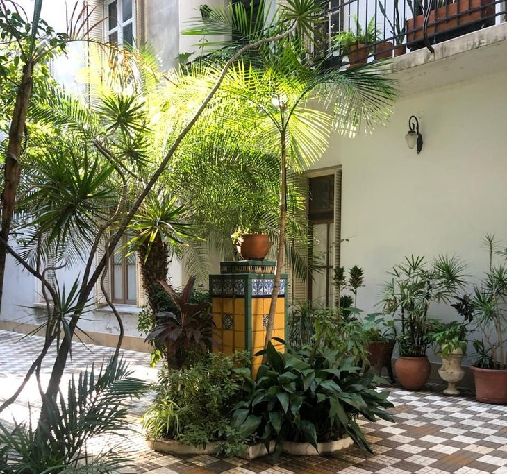 En el centro del pasillo central, una fuente rodeada de plantas y macetas funciona como eje del conjunto y punto de encuentro cotidiano para los residentes En el centro del pasillo central, una fuente rodeada de plantas y macetas funciona como eje del conjunto y punto de encuentro cotidiano para los residentes