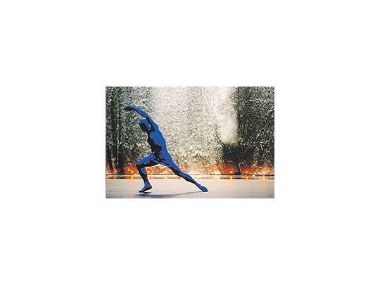 El lenguaje del espectáculo recurre desde el vocabulario de la danza clásica hastaprocedimientos comunes de la contemporánea.