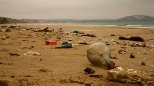 ONU ve oportunidad histórica para abordar contaminación plástica