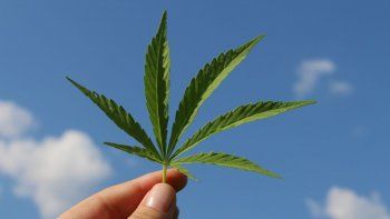 El uso de derivados del cannabis tiene incontables propiedades medicinales para el tratamiento de numerosas enfermedades.