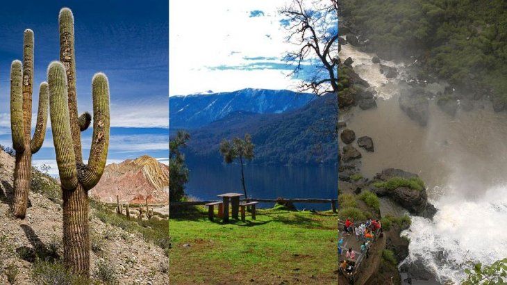 Los Cardones, Lanín and Iguazú National Parks, three of the shortlisted. Los Cardones, Lanín and Iguazú National Park.
