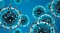 La influenza H3N2 ya está en México.