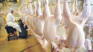 Antes de la suspensión  de China, la industria avícola exportaba cerca del 38% de su producción al gigante asiático.