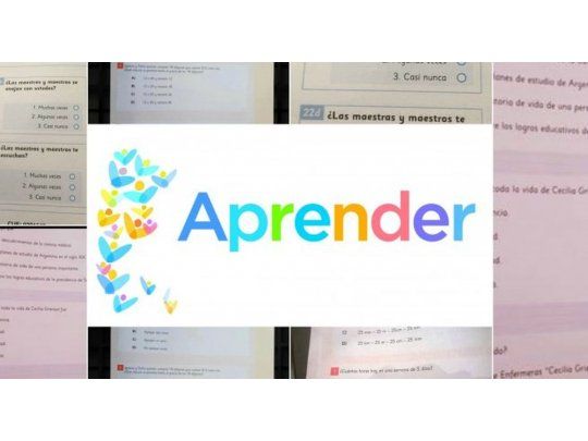 Aprender: cómo es la evaluación que desató la polémica