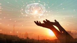 salud: ¿cuales son los efectos de la vitamina d en el cerebro?