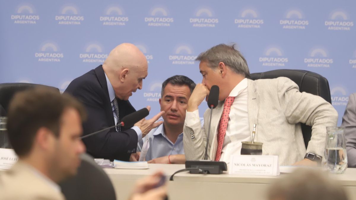 First session of the year: The Government adds support to approve in deputies the suspension of the step