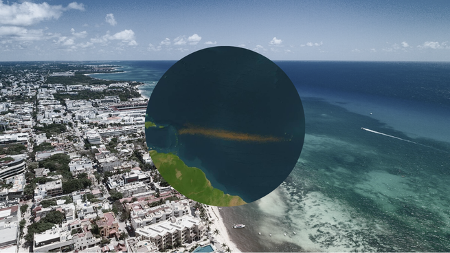 Qué es esa franja marrón en el Océano Atlántico.