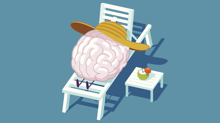Cerebro de vacaciones