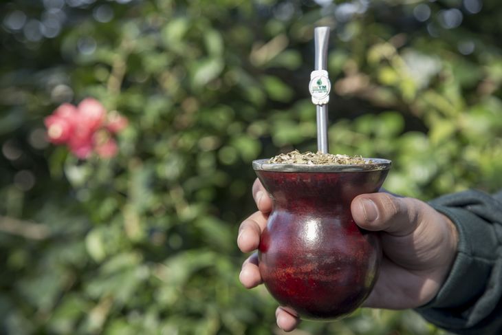 El consumo de yerba mate se mantiene firme en Argentina, en un contexto de mayor competencia entre marcas y cambios en la formación de precios
