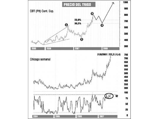 Euforia internacional con el precio del trigo: momento de cobertura