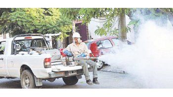 Las fumigaciones se están realizando intensamente en plazas  y parques de diferentes localidades para atacar así a los mosquitos ya adultos.
