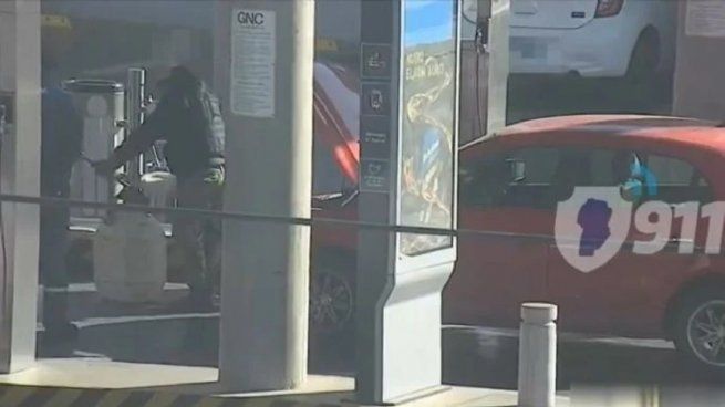 Una comadreja se escondió en el interior de un auto en Córdoba
