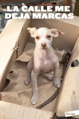 Campaña “La calle me deja marcas”.
