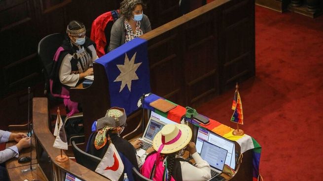 Convencionales de los pueblos indígenas celebran la inclusión de artículos sobre la propiedad de la tierra.