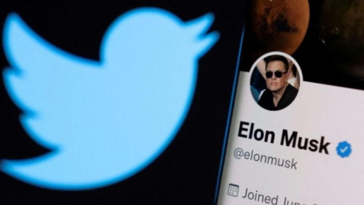 Elon Musk lanzó encuesta sobre una "amnistía general" en Twitter y el resultado fue arrollador